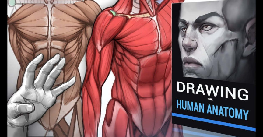 دوره راهنمای کامل ترسیم آناتومی انسان